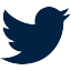 Social Icon